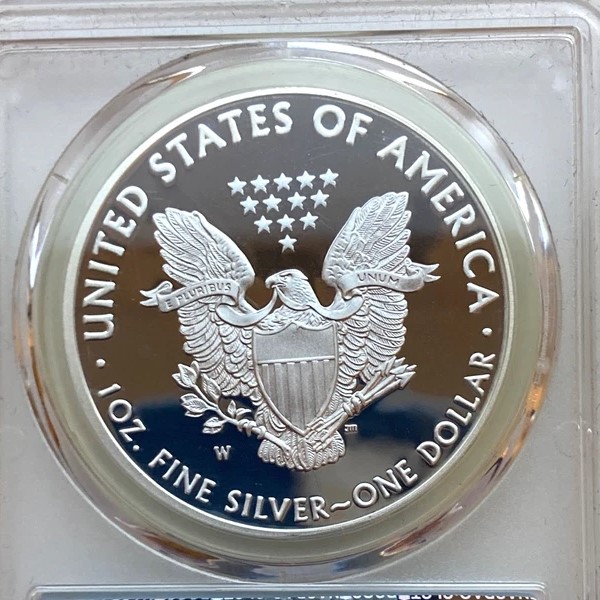 American eagle A.jpg