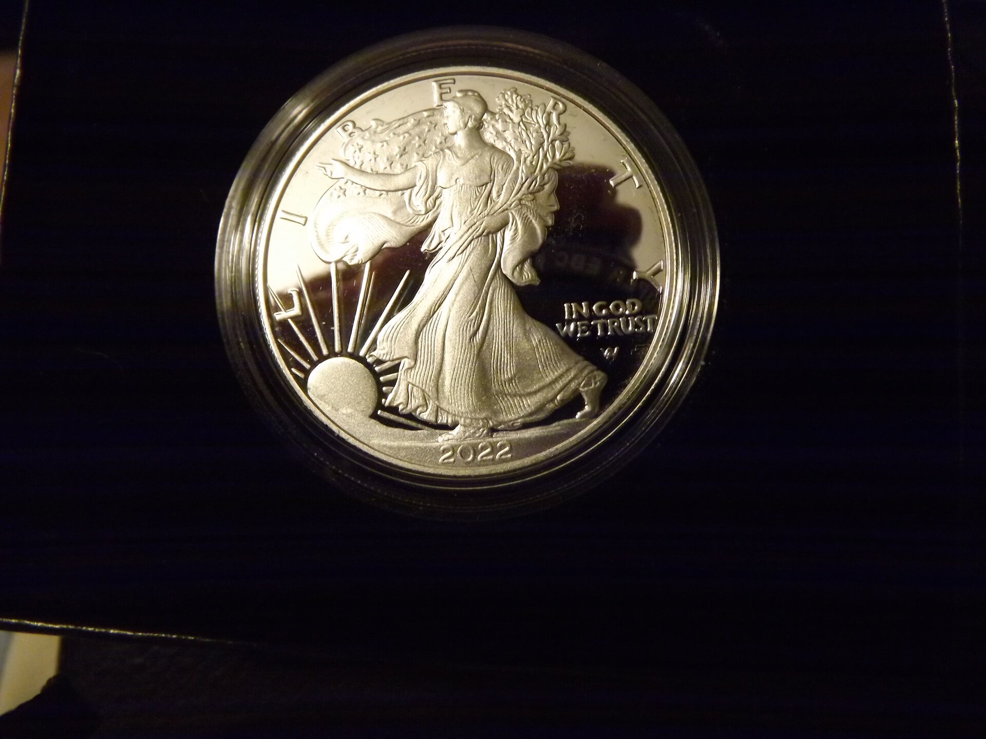 American Eagle-Adverse-2022-.JPG