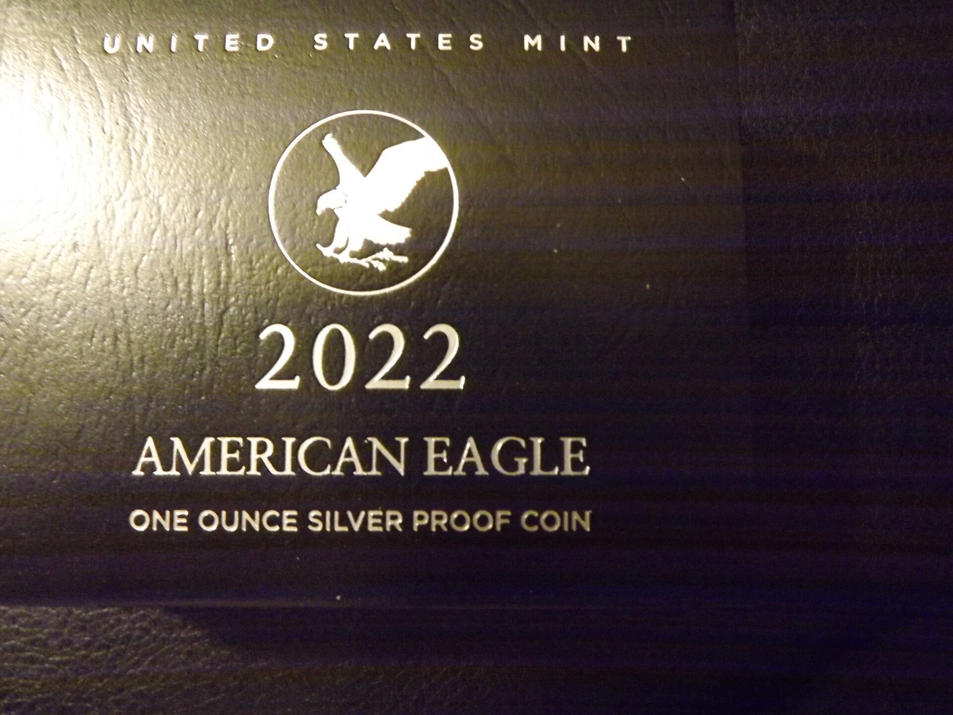 American Eagle Cover.JPG