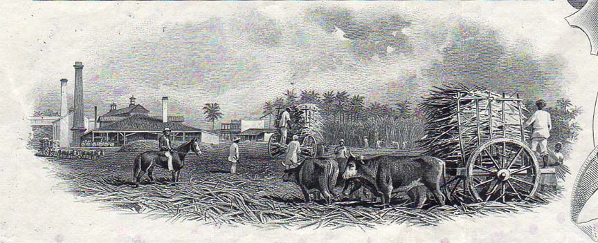 American Sugar cu.jpg
