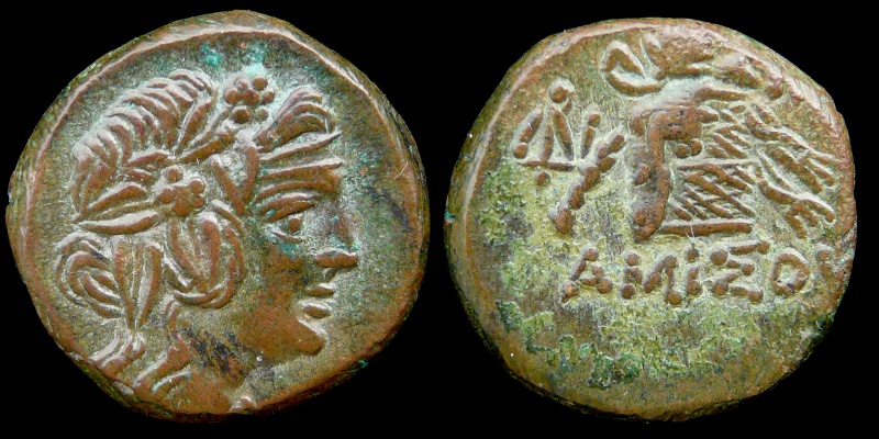 Amiso_0020_Ns.jpg