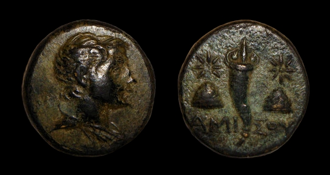 amisos caps dioscuri.jpg