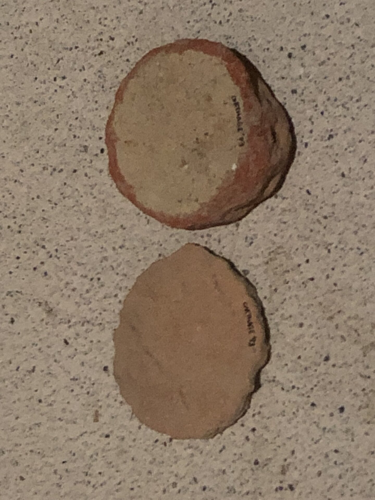 Amphora stoppers.JPG