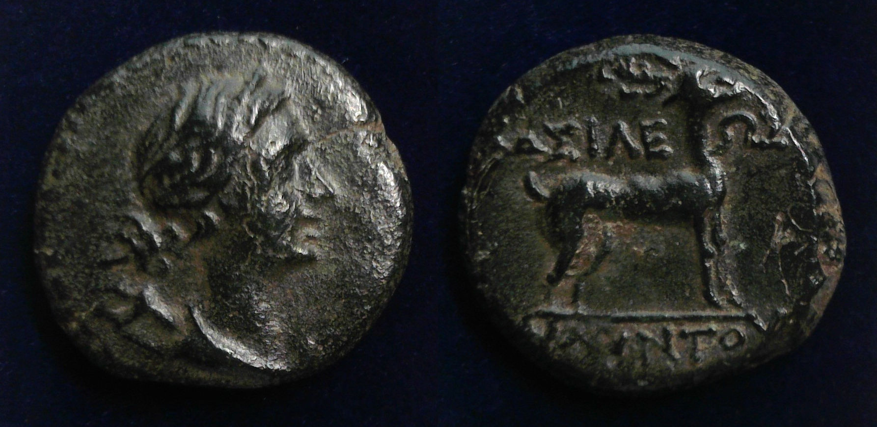 Amyntas Galatia.jpg