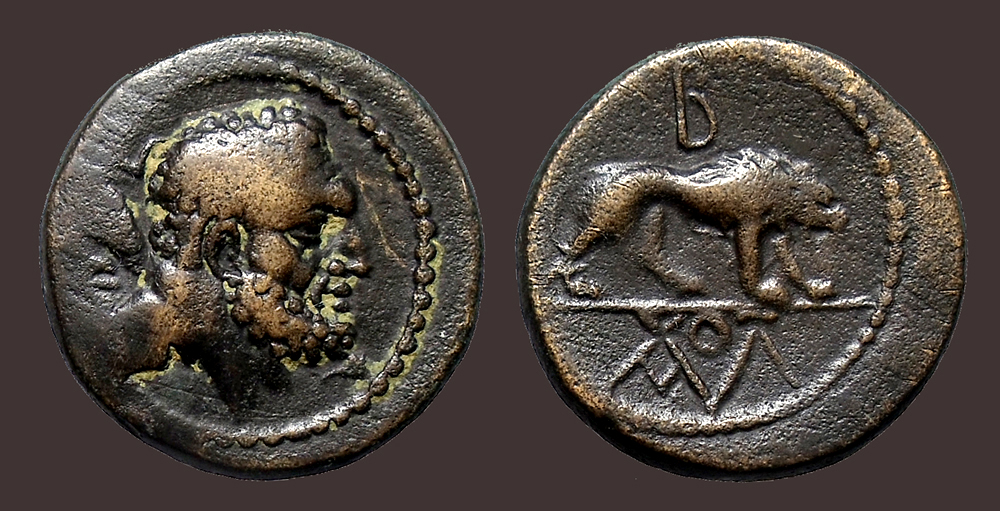 Amyntas.jpg