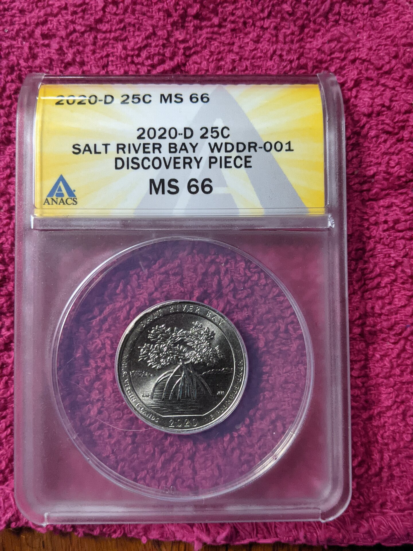 anacs Discovery pice.jpg