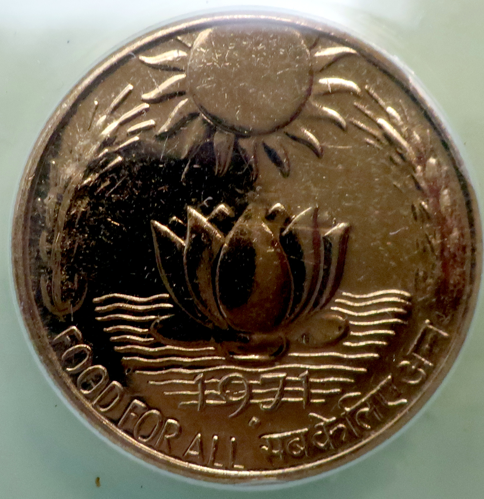 anacs_detail2.jpg