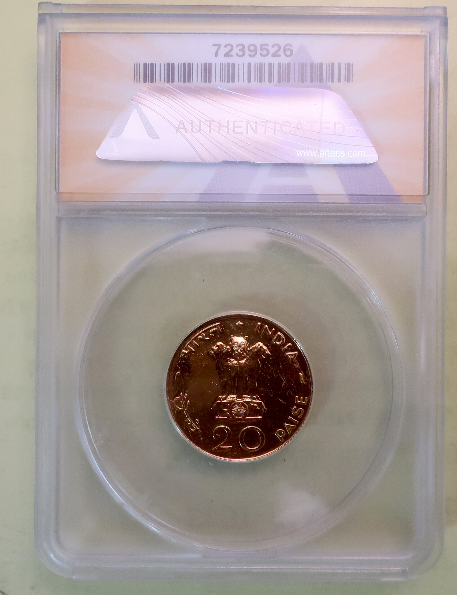 anacs_detail3.jpg