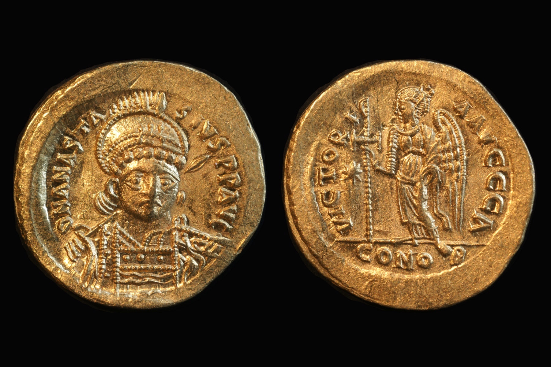 Anastasius solidus.jpg