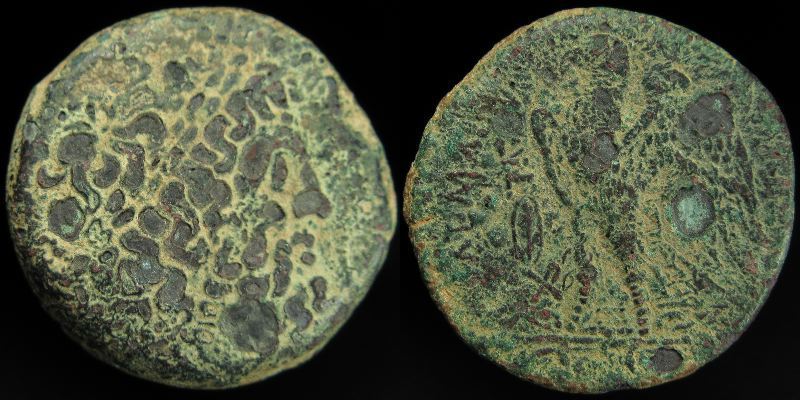 Anc-03-HKE-hbh-Ptolemy II-AE27-Cyprus-7779.jpg