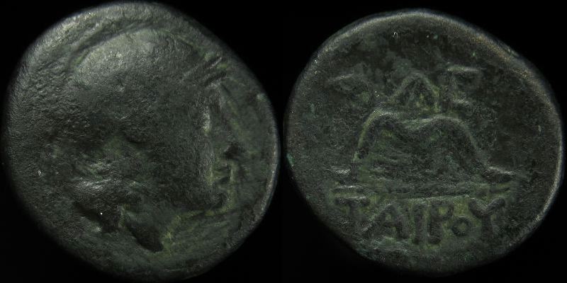 Anc-03-HKP-hbh-Philetairos-AE14-7233.jpg
