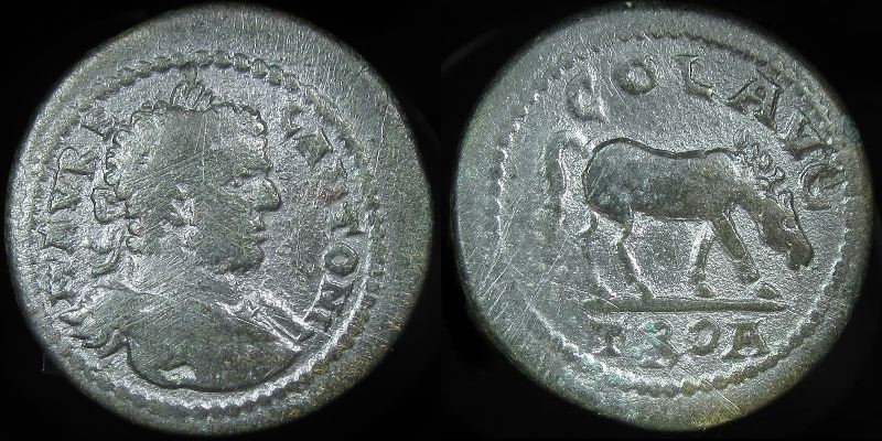 Anc-10-R4-k0198-Caracalla-Troas-AE27-Alexandria Troas-2536.jpg