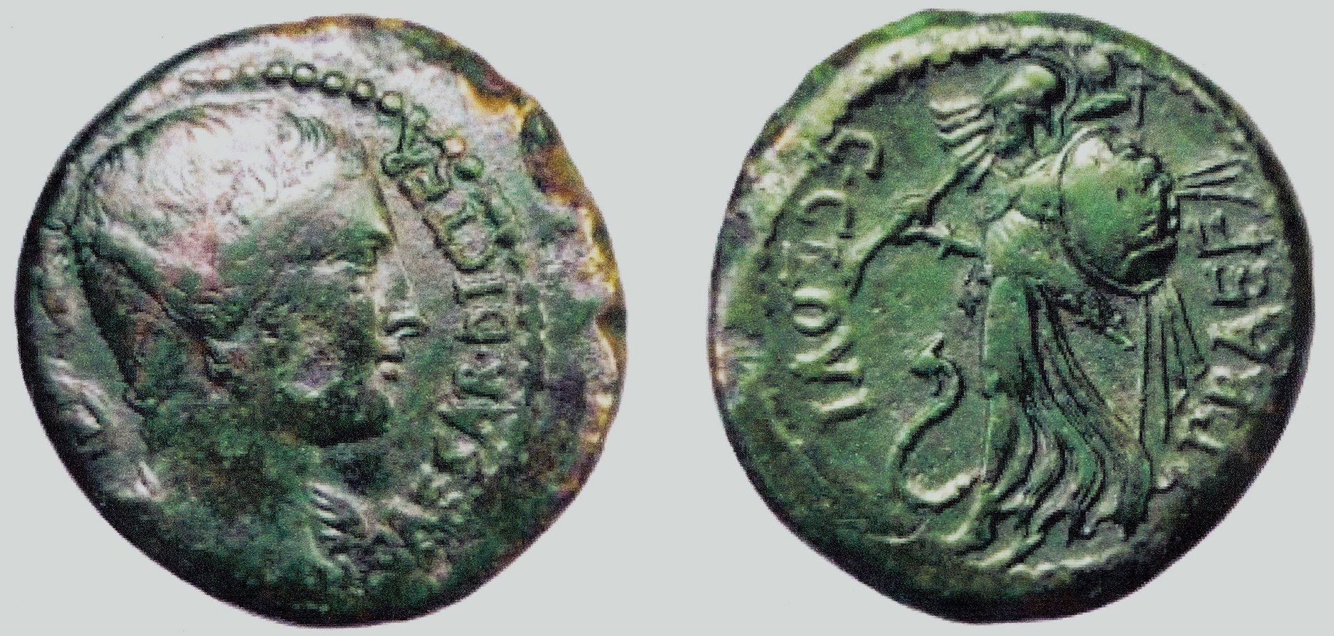 Ancient Aussie_IMG - Copy.jpg