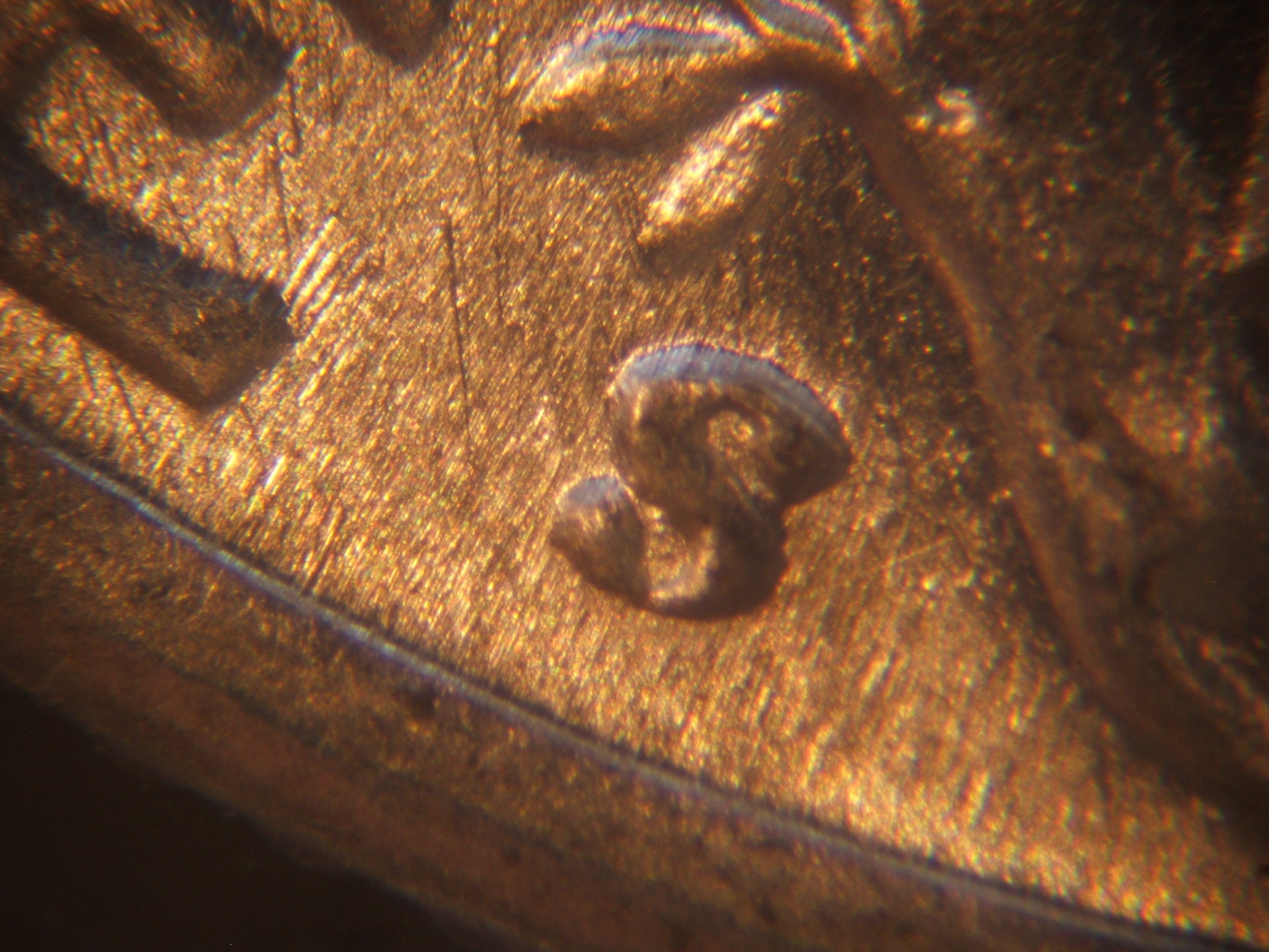 Andreas' oil 004.jpg