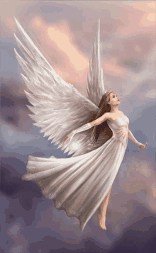 angel wing 2.gif