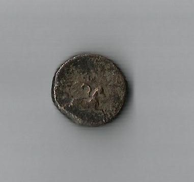 ANGreek HORse.jpg
