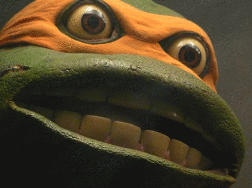 angry-teenage-mutant-ninja-turtle_80_paused.jpg