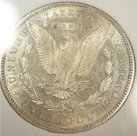 ANGS1883-sjunk2.jpg