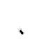 annoyingbug.gif
