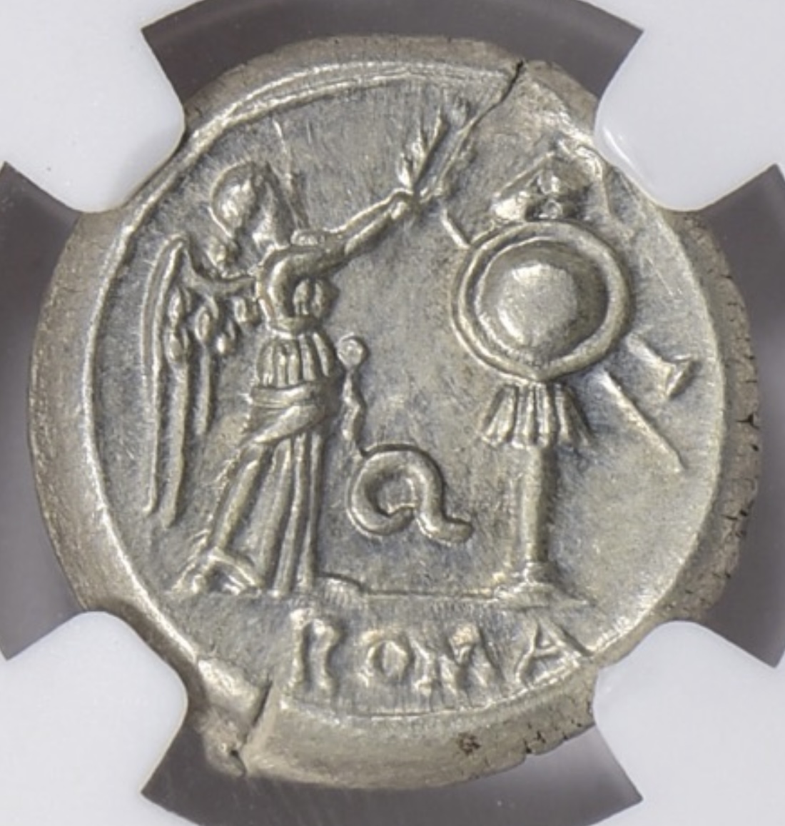 Anonymous Victoriatus Rev Q.jpg