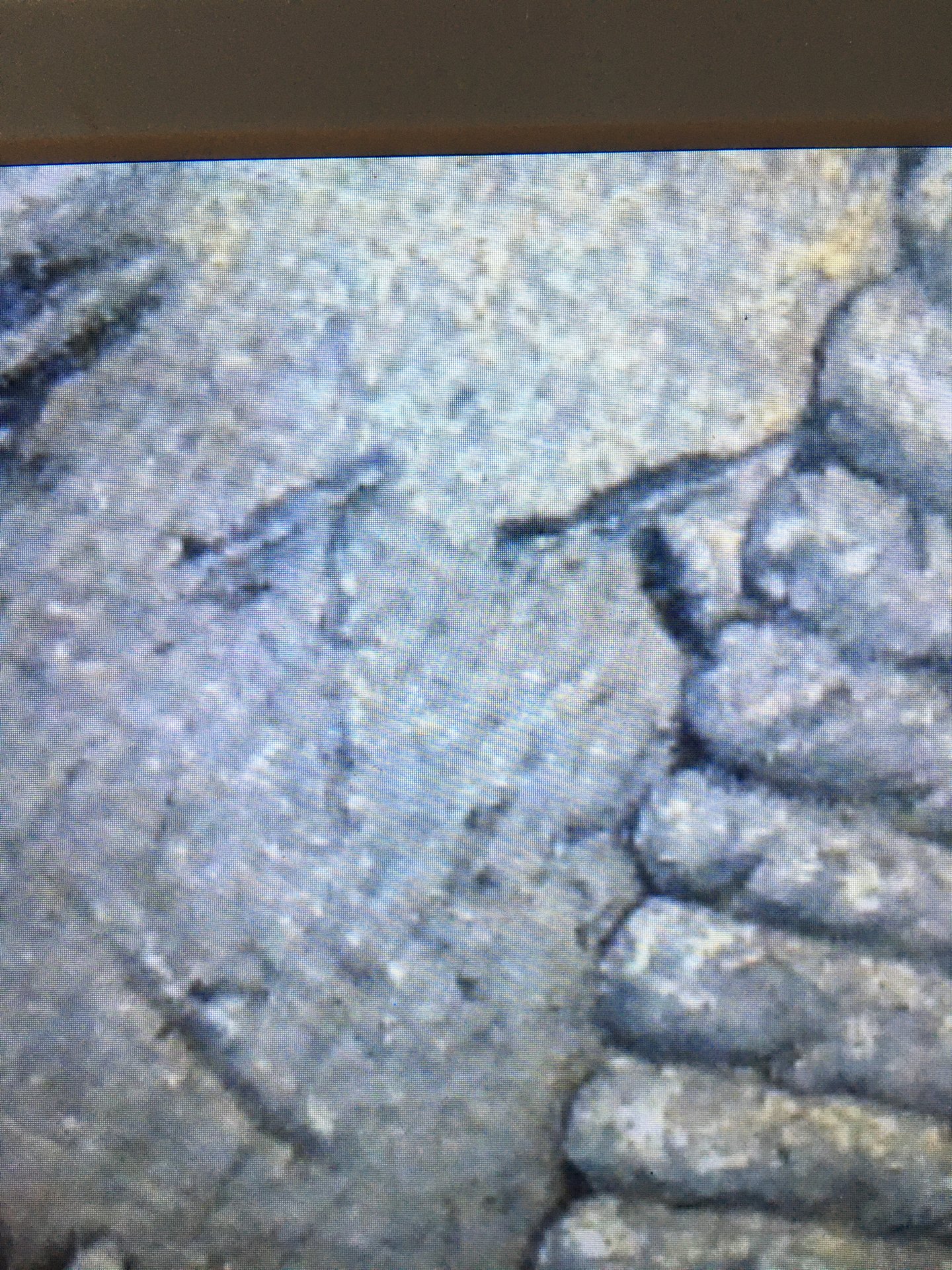 another pic of raised items.JPG