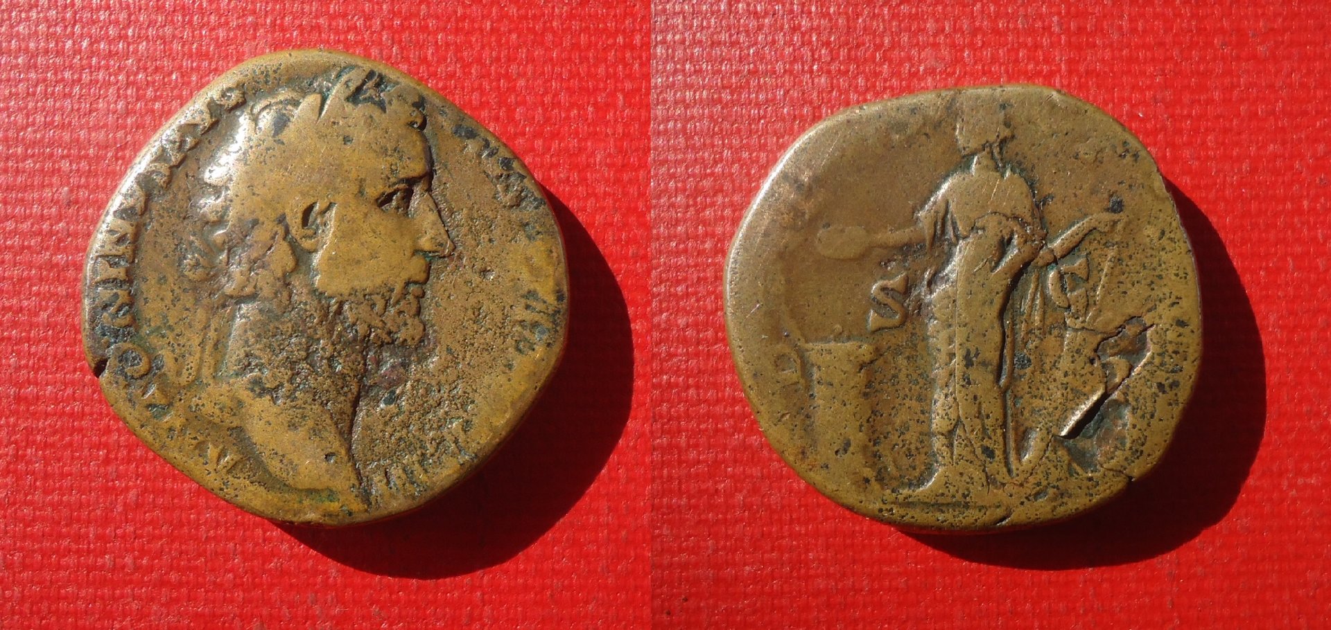 Ant Pius Salus Sep 2019 (1).jpg