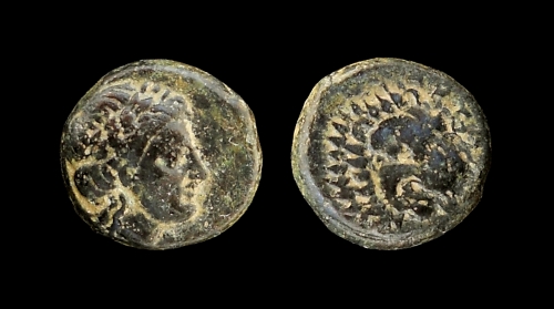 antandros lion.jpg