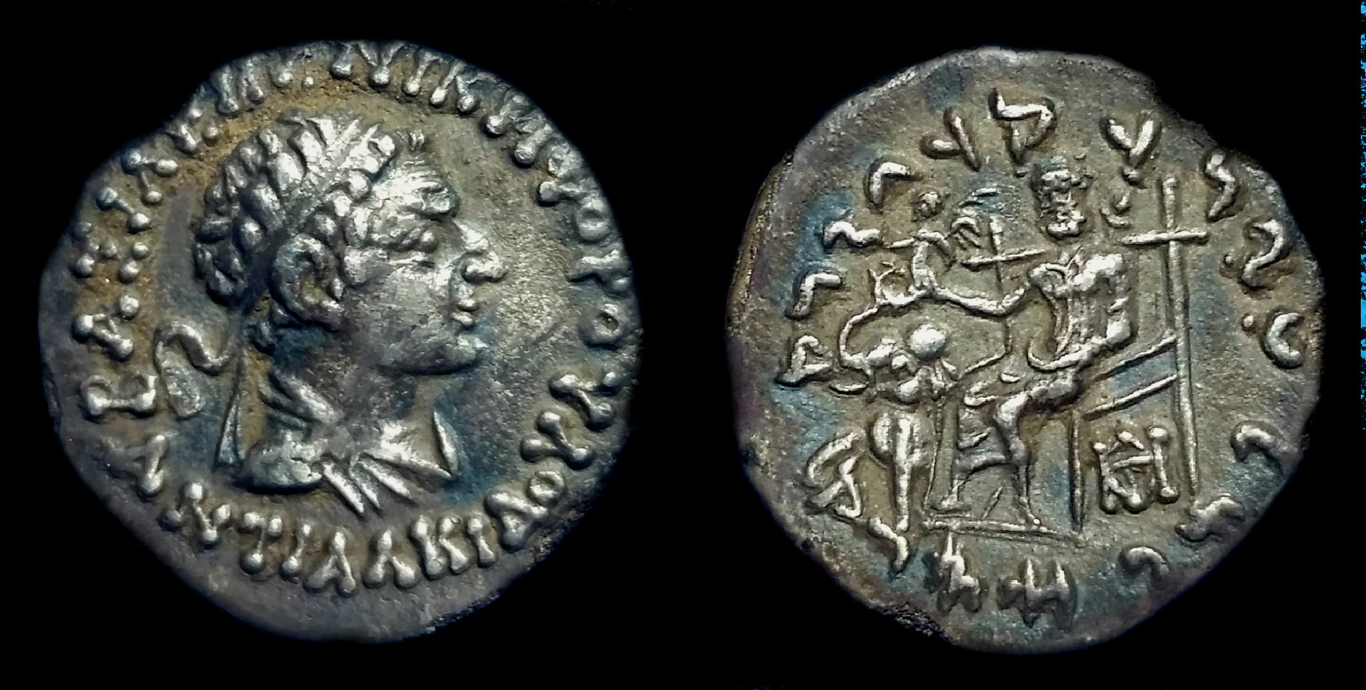AntialcidasBC130-120.jpg