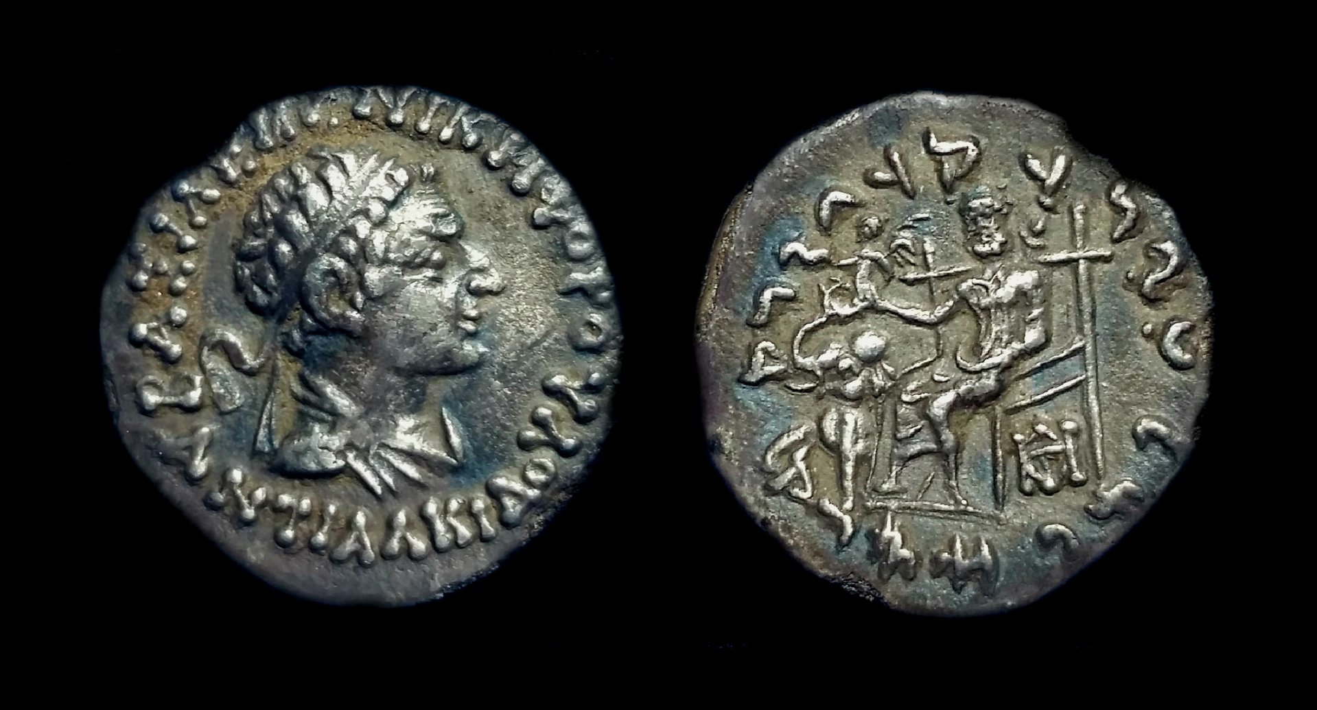 AntialcidasBC130-120.jpg