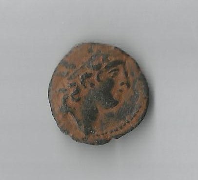 Antib8 O                SNG 2508.jpg