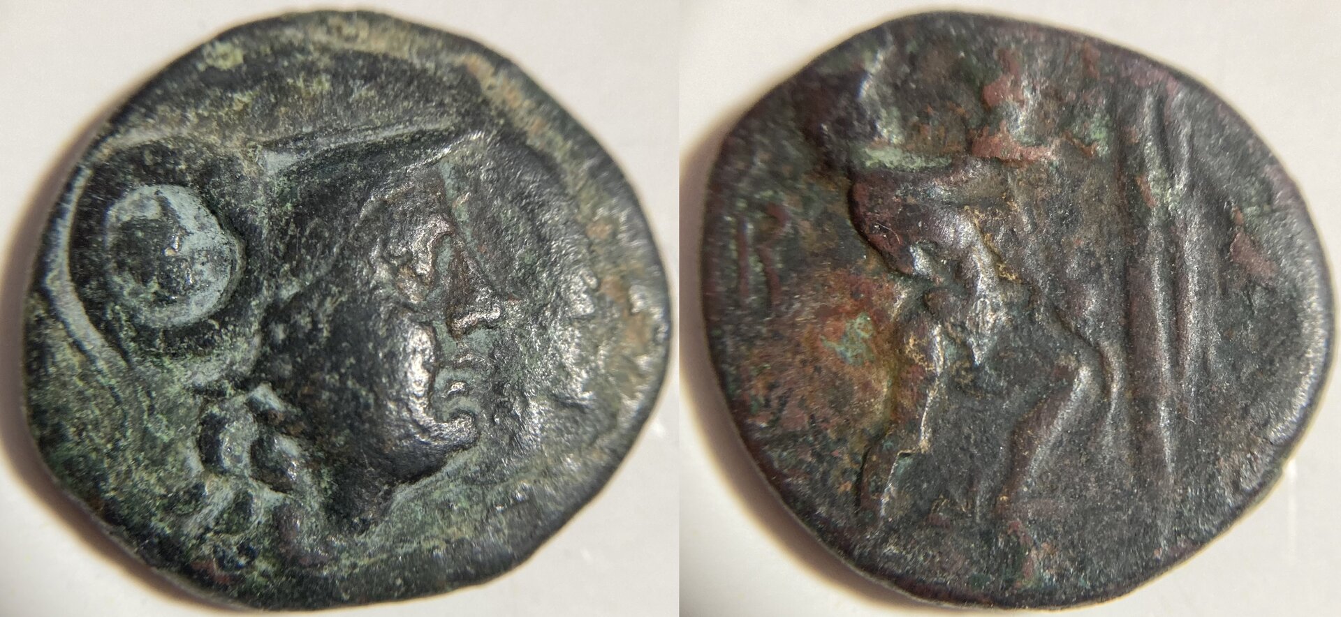 Antigonos II Gonata Pella or Amphipolis.JPG