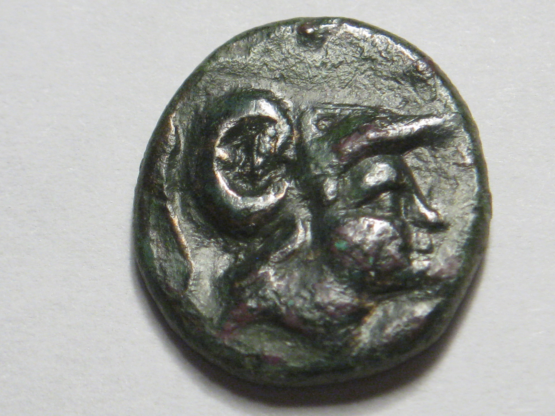 antigonos ll gonatas  pan reverse 001.JPG