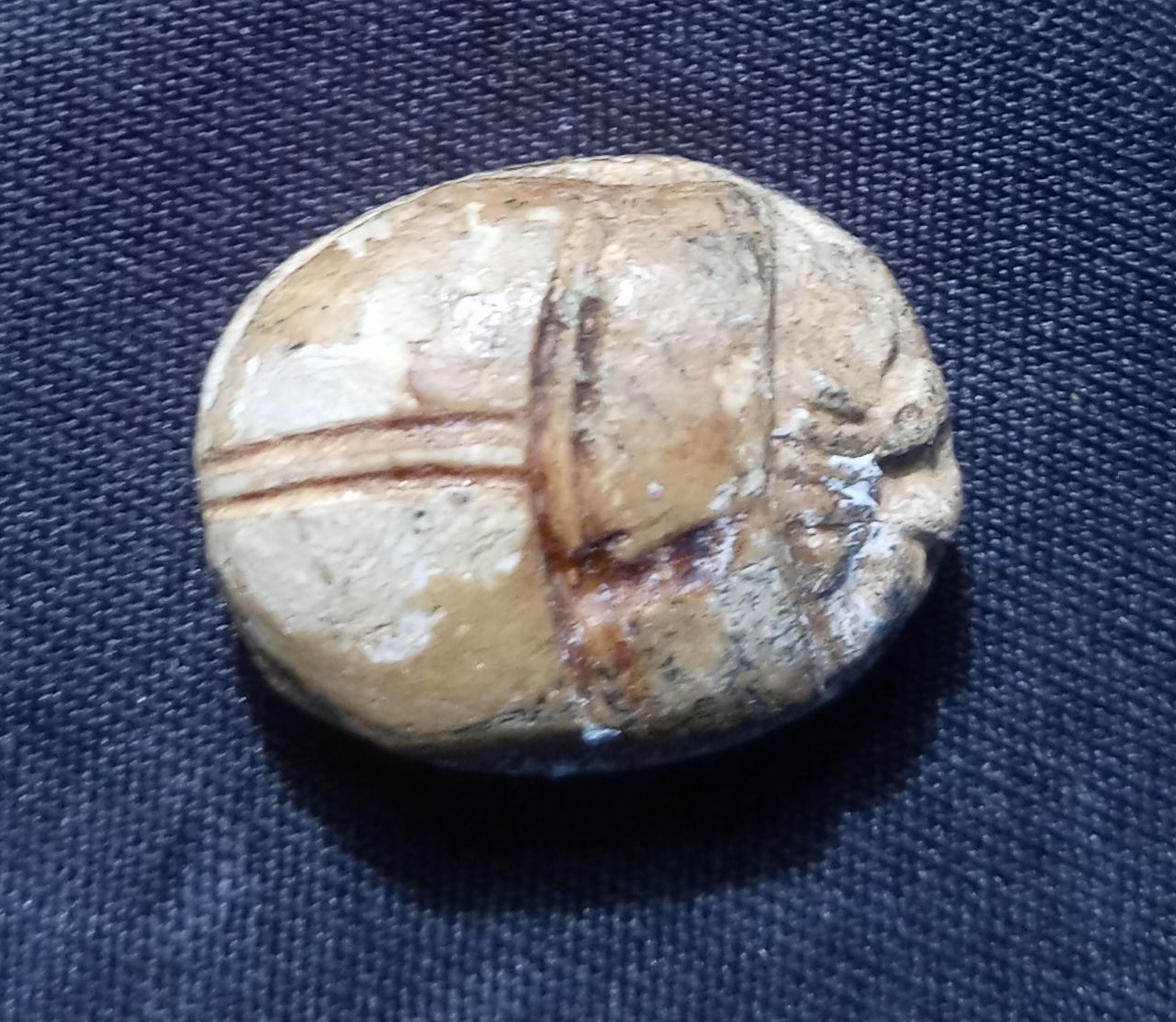 Antilopid scarab top side 1.jpeg