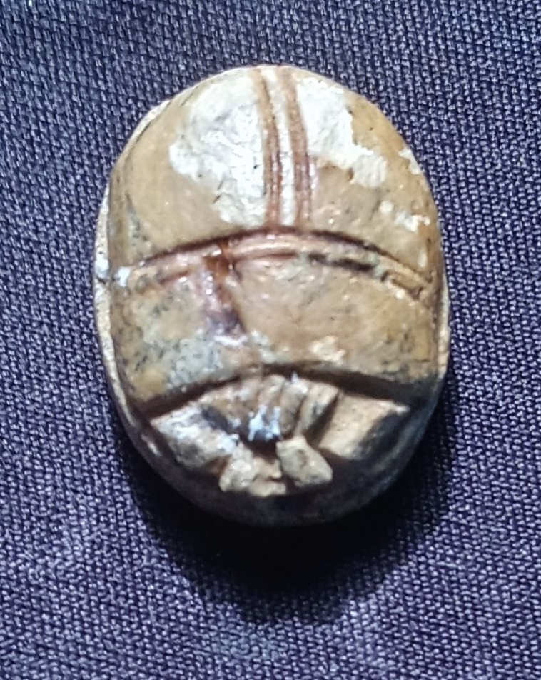 Antilopid scarab top side 2.jpeg