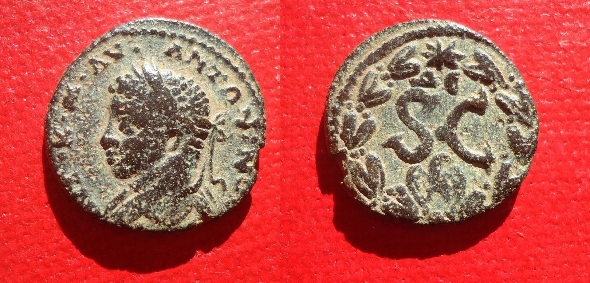 Antioch - Elagabalus SC Jan 19 (0).jpg