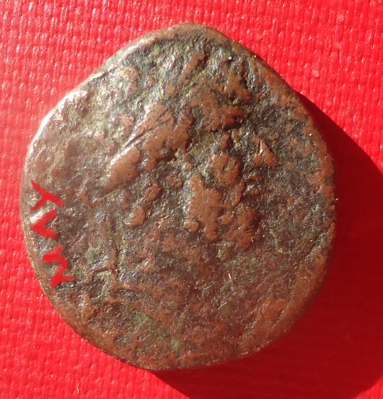 Antioch - M. Aurelius SC lot May 2022 (0det).jpg