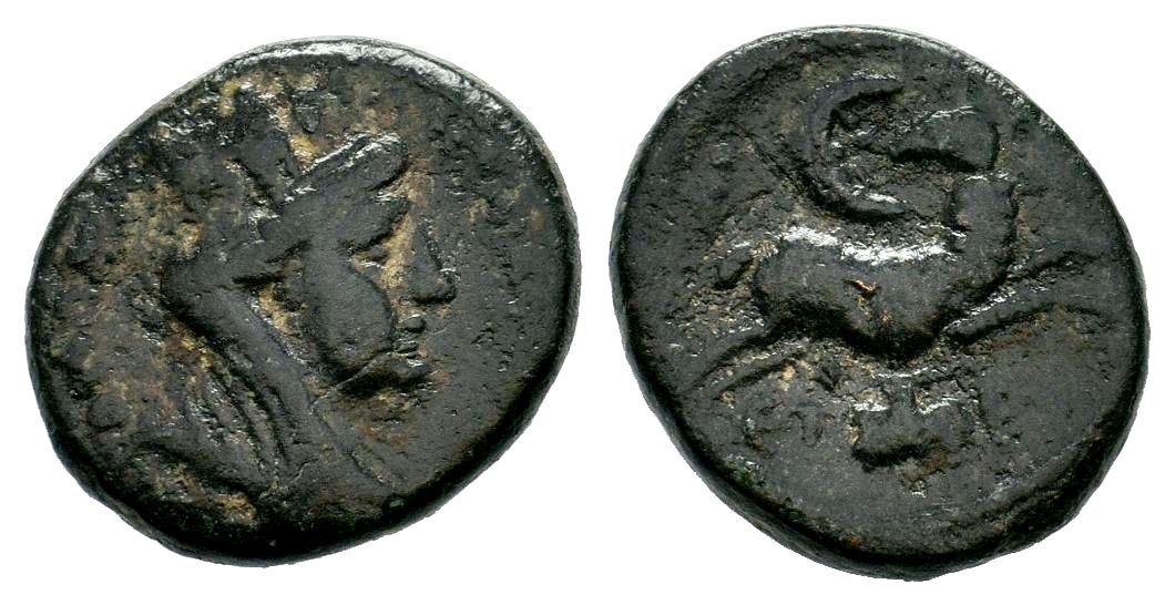 Antioch Ram Leaping Ex Ares 5 ETZOP.jpg