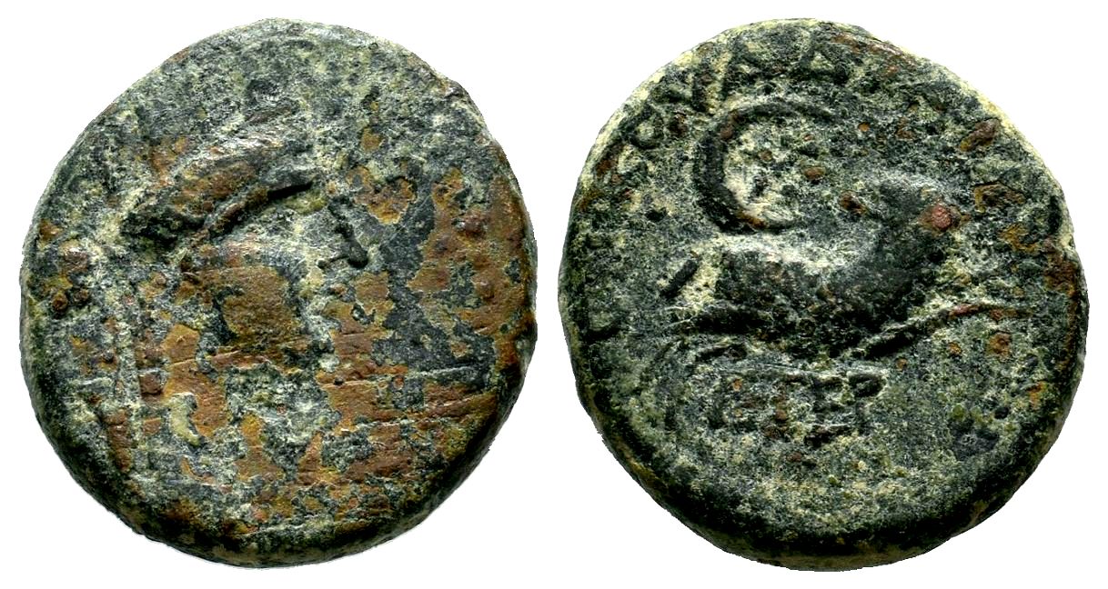 Antioch Ram Leaping Ex Ares 5.jpg