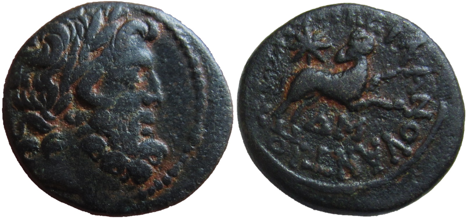 Antioch Star of Bethlehem Molnar Small.jpg