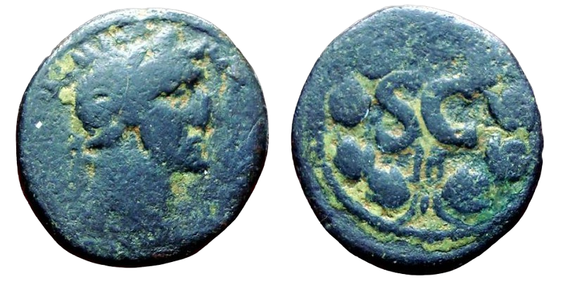 AntiochOrontes-white.png