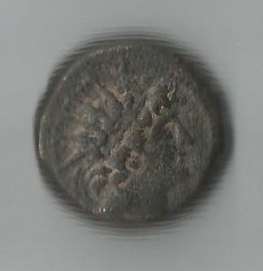 Antiochus 8    SNGCop 376.jpg