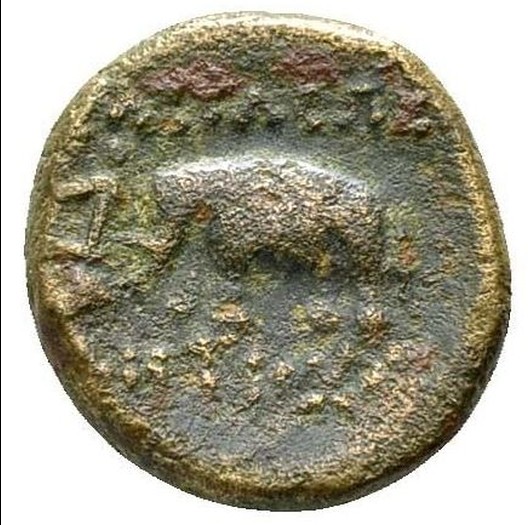 Antiochus Elephant (R).jpg