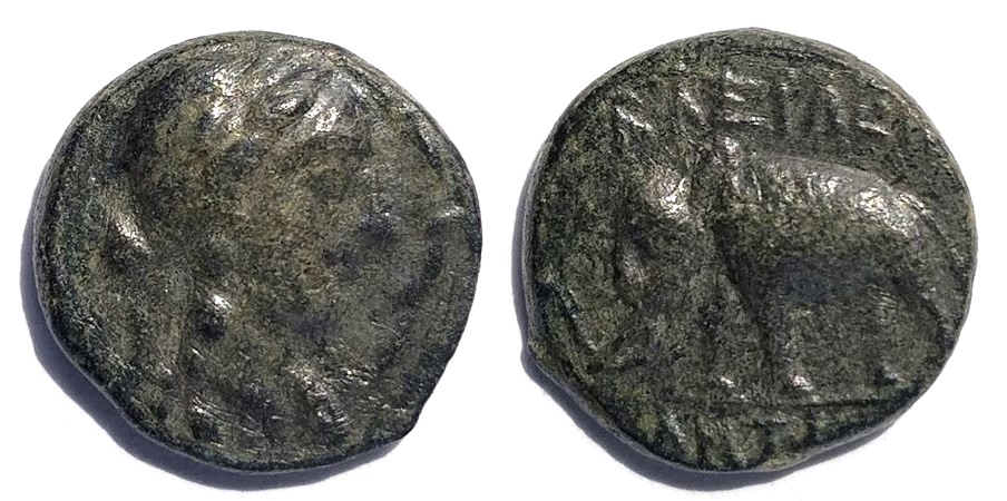 Antiochus III elephant.jpg