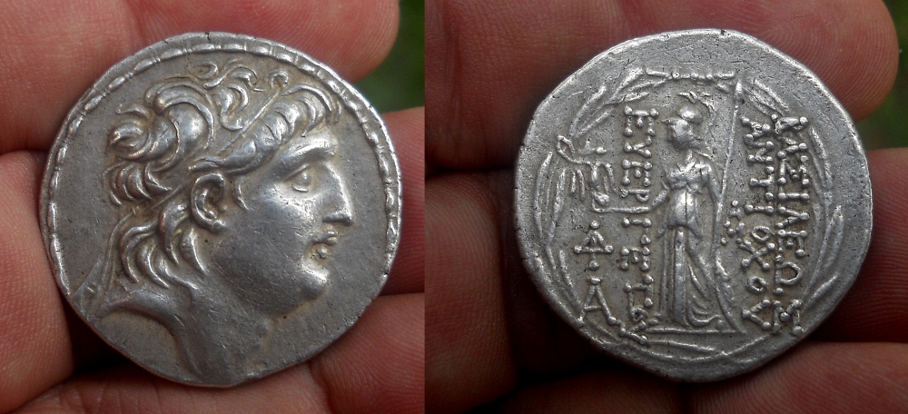 Antiochus VII Euergetes.jpg