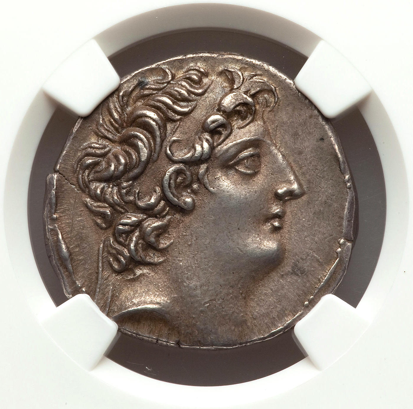Antiochus VIII Tet, obv..jpg