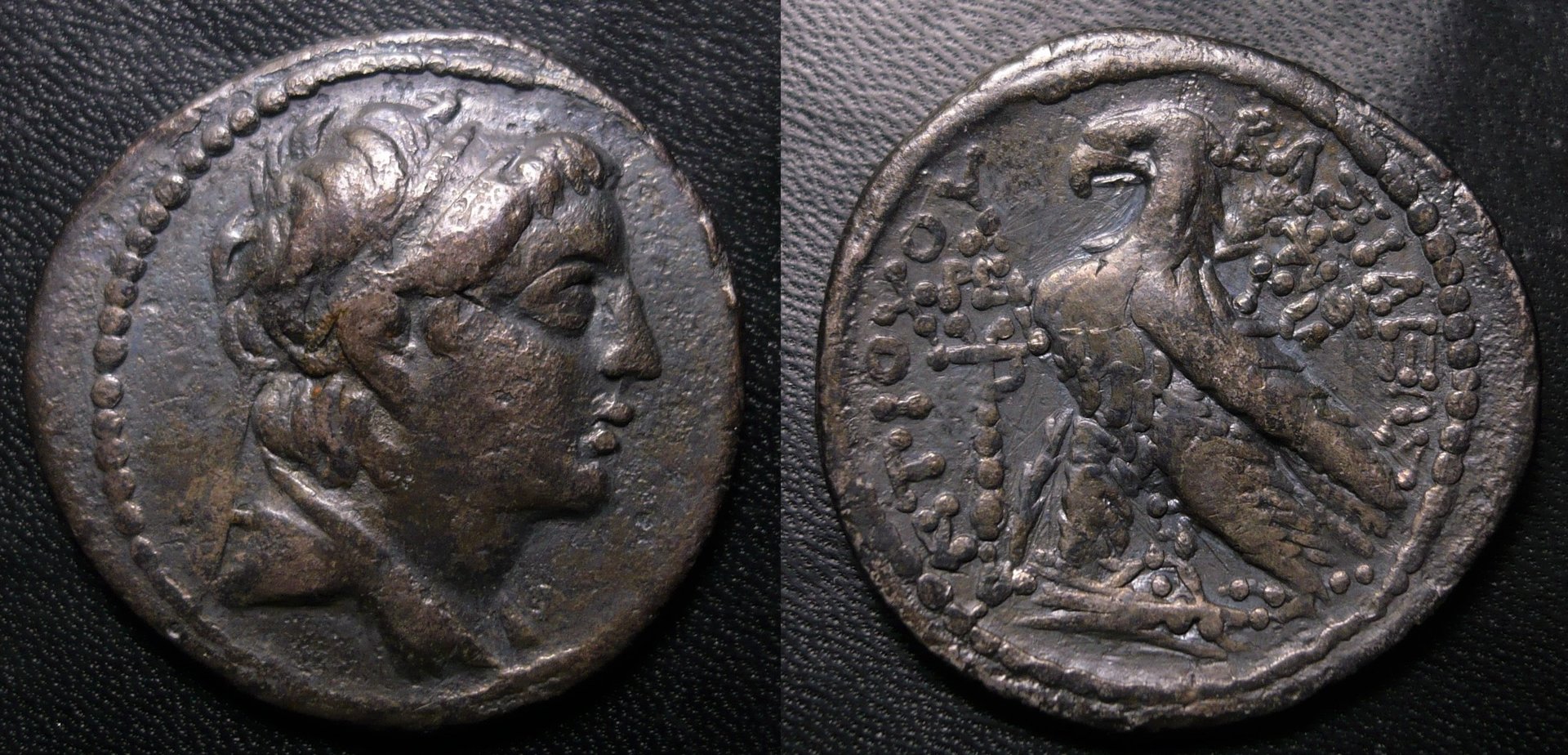 antiochusvii.jpg