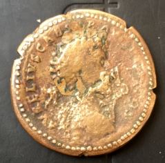 Antmarse R.JPG