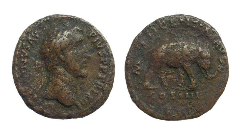 antoninus elephant 400.jpg