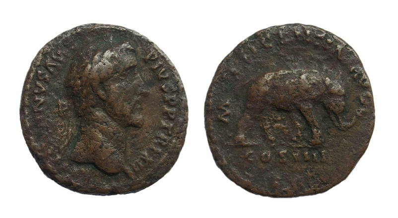 antoninus elephant 400.jpg