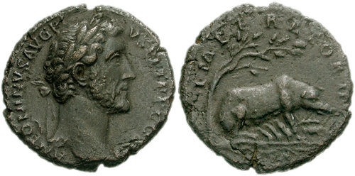 Antoninus Pigs suckling.jpg